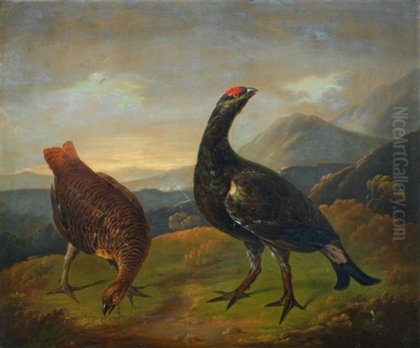 Red Grouse In A Highland Landscape; And A Black Cock And A Grey Hen (2) Oil Painting by Stephen Elmer