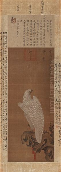 Vit Jaktfalk Oil Painting by Huizong Emperor