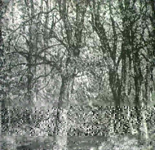 New England Wood And Stream Oil Painting by John Joseph Enneking