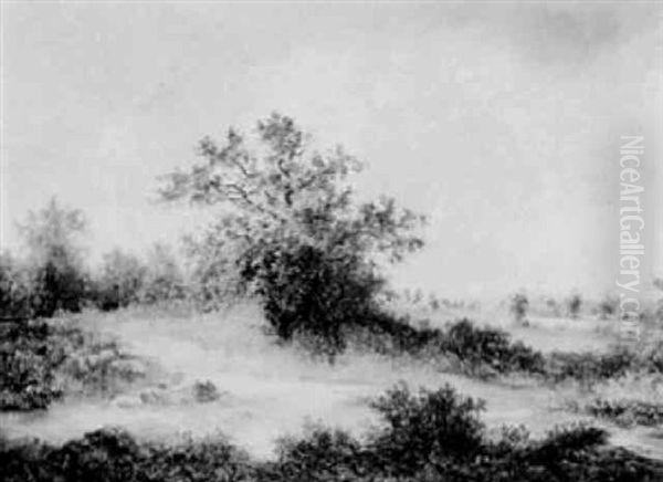 Blick In Weite Baumbestandede Landschaft Oil Painting by Moritz Erdmann