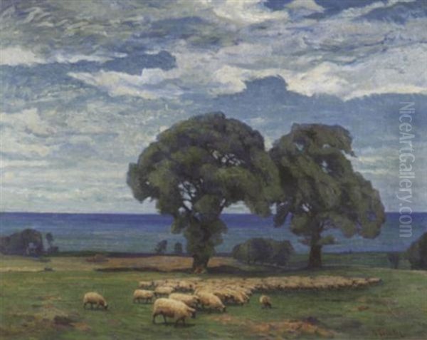 Sommerliche Kustenlandschaft In Mecklenburg. Schafherde Unter Alten Buchen Am Meer Oil Painting by Richard Hermann Eschke