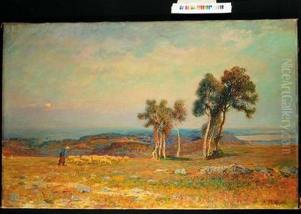 Paesaggio Con Pecore Oil Painting by Alberto Falchetti