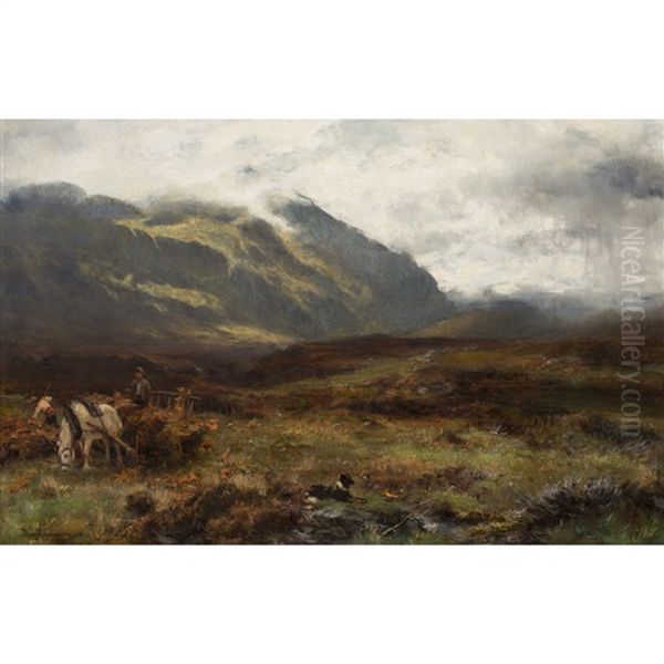 Amongst The Brackens Oil Painting by David Farquharson