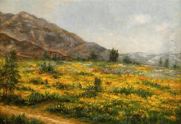 California Wildflowers Oil Painting by Ellen Frances Farr