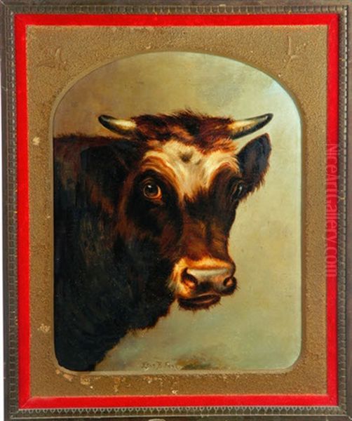 Portrait Of A Cow Oil Painting by Ellen Frances Farr