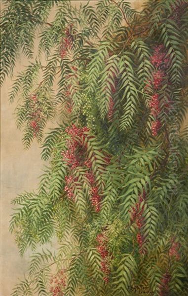 Pepper Tree Branches In Bloom Oil Painting by Ellen Frances Farr
