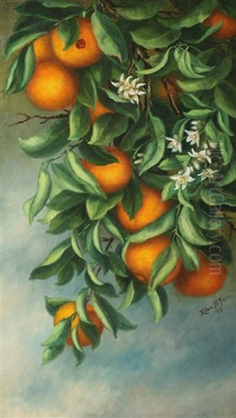 Orange Tree Oil Painting by Ellen Frances Farr