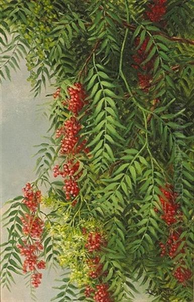 A Branch From A Pepper Tree Oil Painting by Ellen Frances Farr
