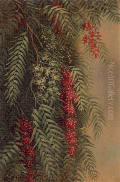 Pepper Tree Branch Oil Painting by Ellen Frances Farr