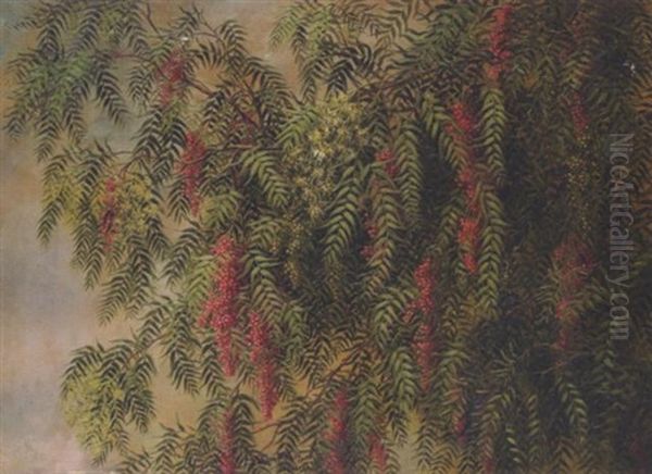 A Blossoming Pepper Tree Oil Painting by Ellen Frances Farr