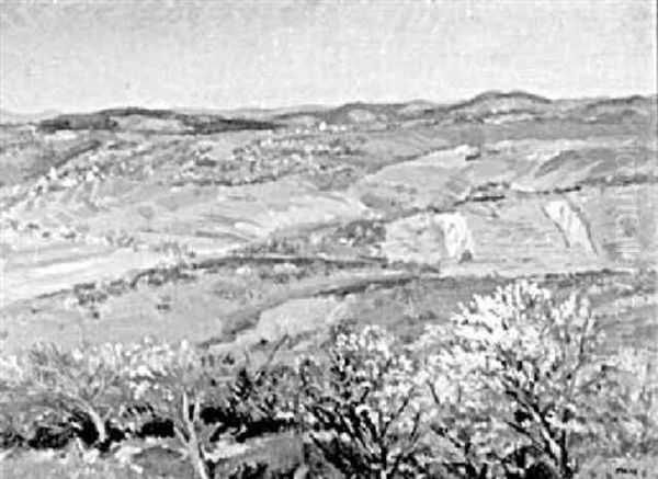 Fruhlingslandschaft Neckartal Oil Painting by Amandus Faure