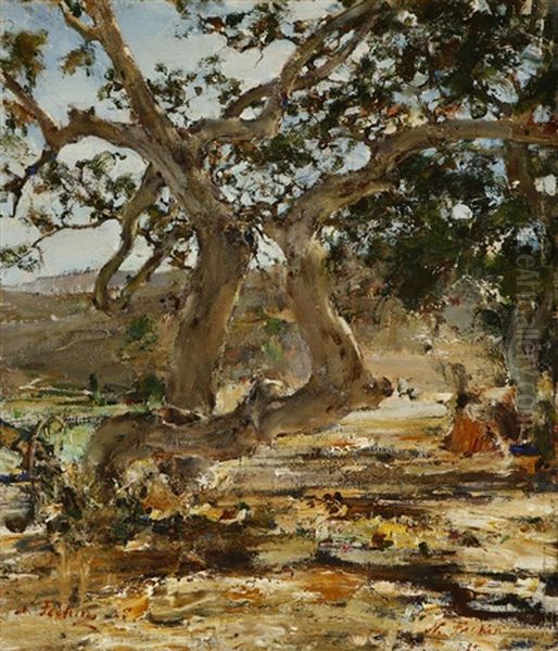 The Sycamore Tree Oil Painting by Nicolai Ivanovich Fechin