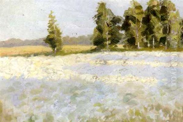 Country Field Oil Painting by Nicolai Ivanovich Fechin