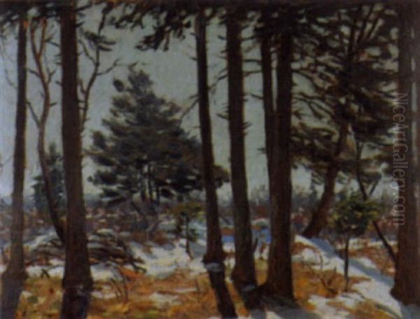 Sonnige Waldlandschaft Im Vorfruhling Oil Painting by Carl Friedrich Felber