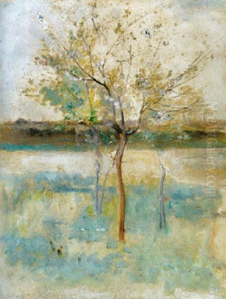 Viragzo Fa, 1892 (blooming Tree) Oil Painting by Karoly Ferenczy