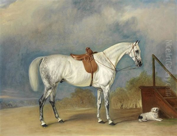 A Side-saddled Grey Hunter Oil Painting by John Ferneley Jr.