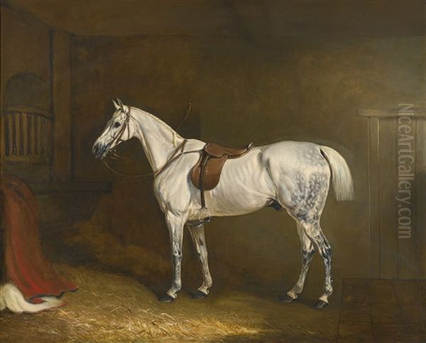 A Saddled Grey Hunter In A Loose Box Oil Painting by John E. Ferneley