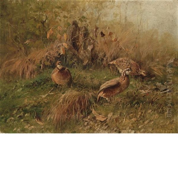 Three Quail In A Landscape Oil Painting by John Fery