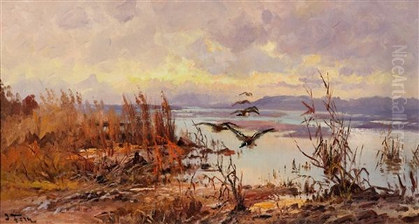 Ducks Over The Marsh Oil Painting by John Fery
