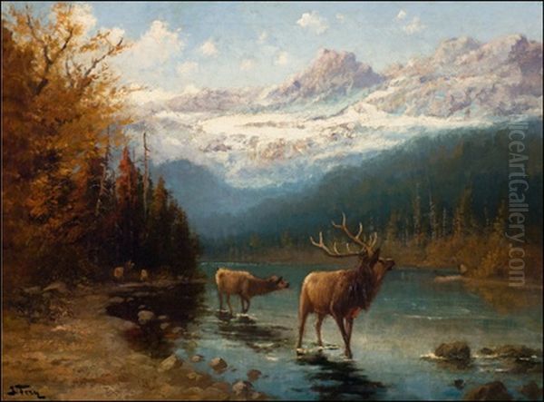 Glacier Elk Oil Painting by John Fery