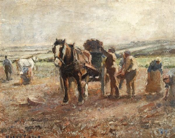 The Potato Field Oil Painting by Harry Fidler