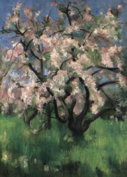 Bluhende Baume Oil Painting by Johannes Fischer