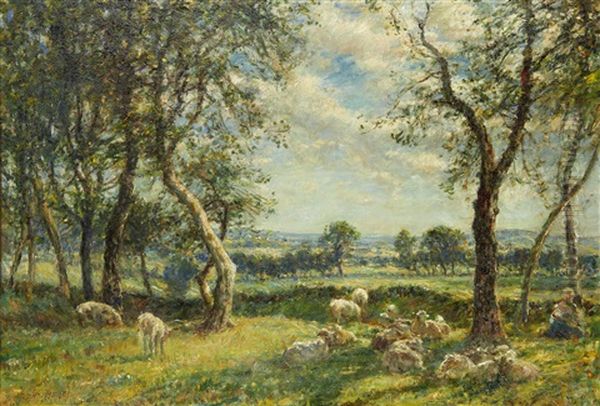 Sheep Resting Beneath The Shade Of A Tree Oil Painting by Mark Fisher