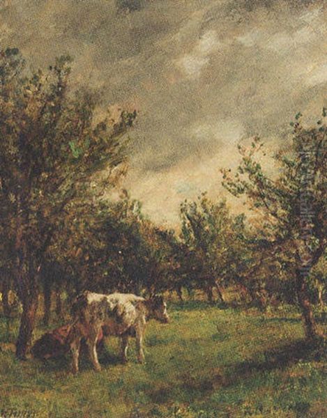 Cattle Resting In An Orchard Oil Painting by Mark Fisher