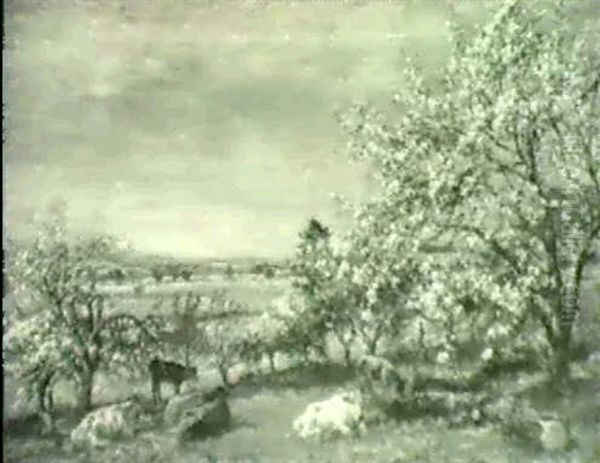 Cattle In An Orchard In Spring Oil Painting by Mark Fisher