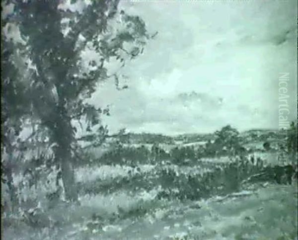 Country Landscape Oil Painting by Mark Fisher