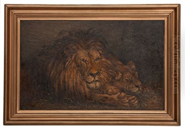 Lion And Lioness Oil Painting by Percy Harland Fisher