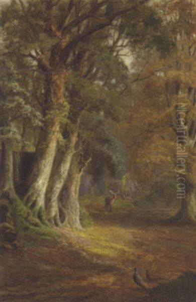 A Woodland Glade Oil Painting by John Fitz Marshall