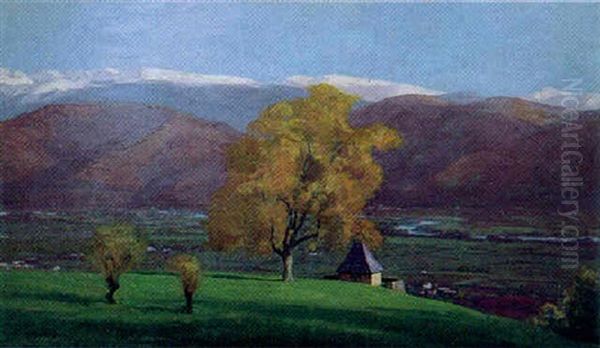 Vase De Tournesols Et Coupe De Fruits Oil Painting by Jules Flandrin