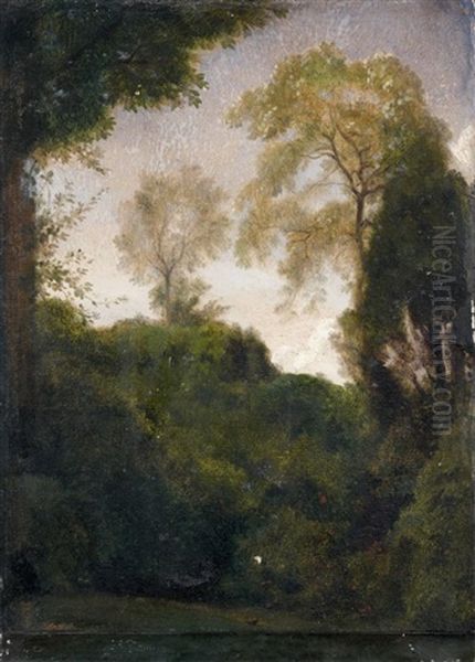 Paysage De Sous-bois Oil Painting by Paul Flandrin