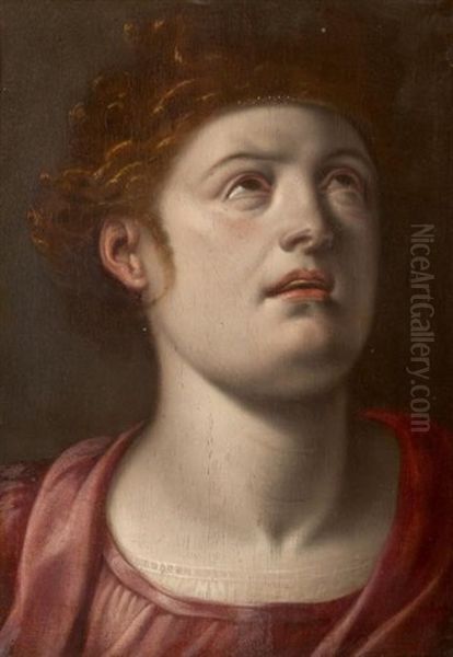 Tete A L'antique Oil Painting by Frans Floris