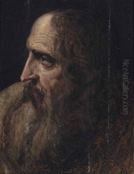 Head Study Oil Painting by Frans Floris