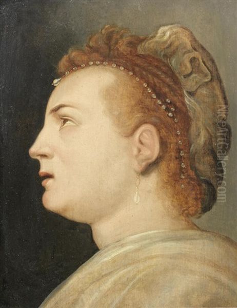 Head Of A Lady Oil Painting by Frans Floris
