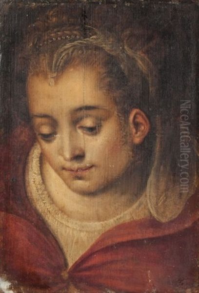 Portrait De Femme A La Parure De Perles Oil Painting by Frans Floris