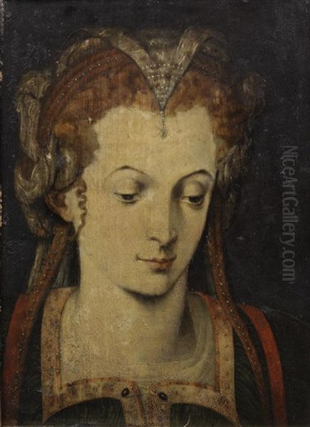 Head Of A Woman Oil Painting by Frans Floris