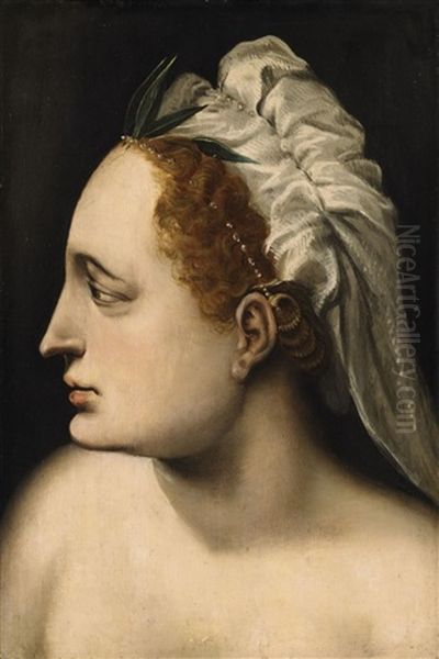 Head Of A Woman Oil Painting by Frans Floris