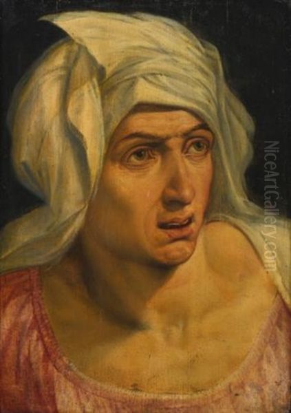 Head Of A Woman Oil Painting by Frans Floris