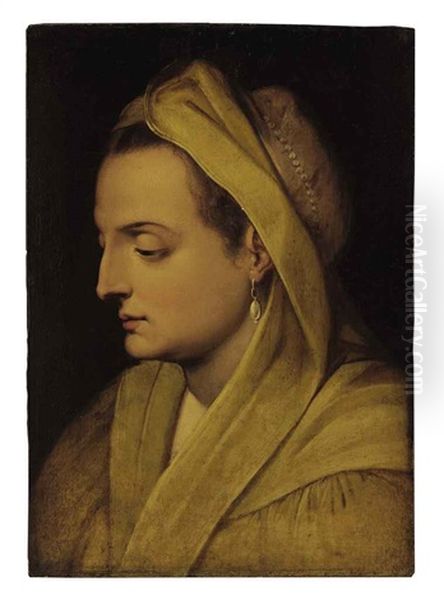 A Head Of A Woman With A Pearl Earring Oil Painting by Frans Floris
