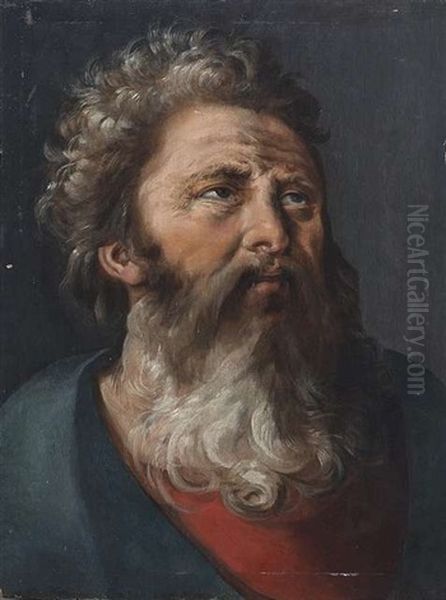 Kopfstudie Eine Bartigen Mannes Oil Painting by Frans Floris