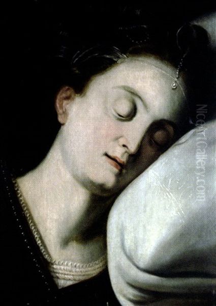 Jeune Femme Au Diademe Endormie Oil Painting by Frans Floris