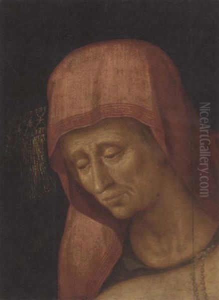 Head Of An Old Lady Oil Painting by Frans Floris