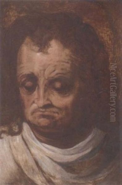 Head Of A Man Oil Painting by Frans Floris