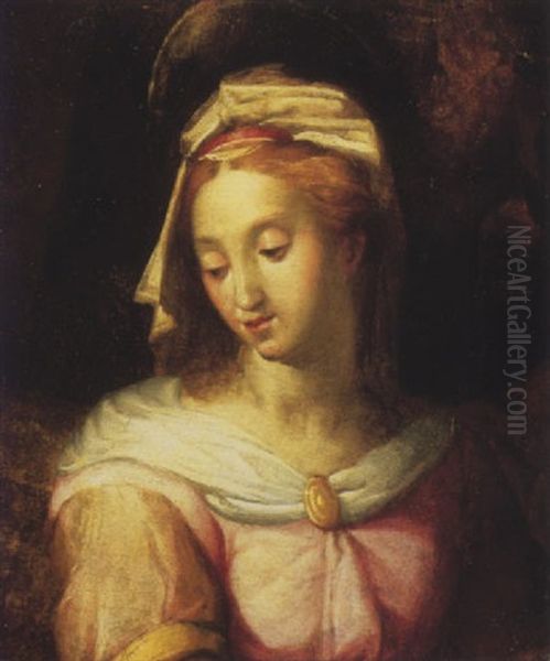 The Madonna Oil Painting by Frans Floris