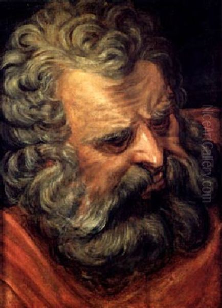 Kopfstudie Eines Bartigen Mannes Oil Painting by Frans Floris