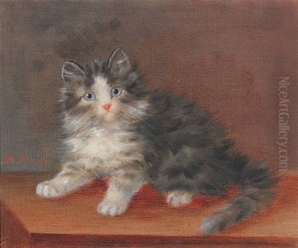 Katzchen Oil Painting by Burkhard Flury