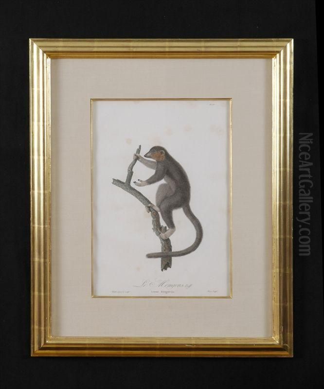 Le Mongous Oil Painting by Jean-Baptiste Audebert